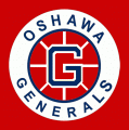 2011 12 Oshawa Generals Alternate Logo Light Iron-on Stickers (Heat Transfers)