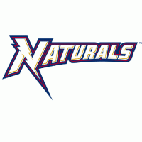 Northwest Arkansas Naturals wordmark logo (2008-pres)Light Iron-on Stickers (Heat Transfers) 01