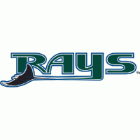 Vero Beach Devil Rays wordmark logo (2007-pres)Light Iron-on Stickers (Heat Transfers) 01