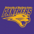 2002-Pres Northern Iowa Panthers Secondary Logo Light Iron-on Stickers (Heat Transfers)