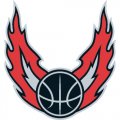 Portland Trail Blazers Alternate Logo  Light Iron-on Stickers (Heat Transfers)