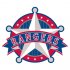 Texas Rangers Alternate Logo  Light Iron-on Stickers (Heat Transfers)