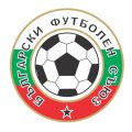 Bulgaria Football Confederation Light Iron-on Stickers (Heat Transfers)