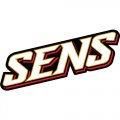 Ottawa Senators Script Logo  Light Iron-on Stickers (Heat Transfers)