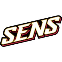 Ottawa Senators Script Logo  Light Iron-on Stickers (Heat Transfers)