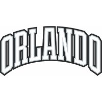 Orlando Magic Script Logo  Light Iron-on Stickers (Heat Transfers) version 2