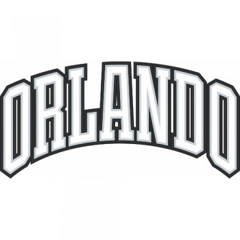 Orlando Magic Script Logo  Light Iron-on Stickers (Heat Transfers) version 2