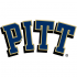 2005-Pres Pittsburgh Panthers Primary Logo Light Iron-on Stickers (Heat Transfers)