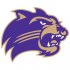 2008-Pres Western Carolina Catamounts Primary Logo Light Iron-on Stickers (Heat Transfers)