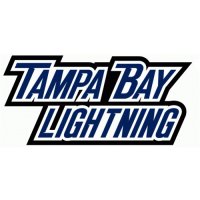 Tampa Bay Lightning Script Logo  Light Iron-on Stickers (Heat Transfers)