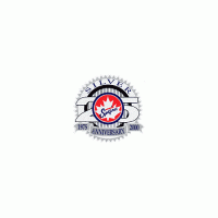 1999 00 Windsor Spitfires Anniversary Logo Light Iron-on Stickers (Heat Transfers)