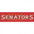 Ottawa Senators Script Logo  Light Iron-on Stickers (Heat Transfers) version 1