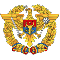 National Army Logo