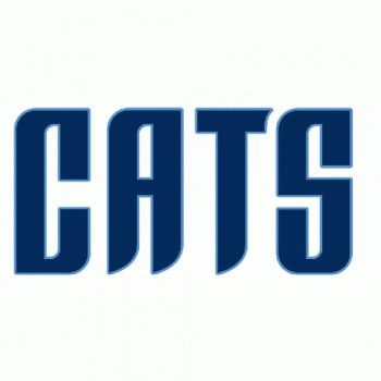 Charlotte Bobcats 2012 13-Pres Wordmark Logo Light Iron-on Stickers (Heat Transfers)