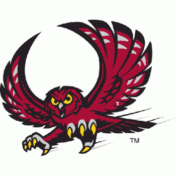 1996-Pres Temple Owls Alternate Logo Light Iron-on Stickers (Heat Transfers)