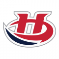 2013 14-Pres Lethbridge Hurricanes Primary Logo Light Iron-on Stickers (Heat Transfers)