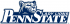 Penn State Nittany Lions 2001-2004 Alternate Logo Light Iron-on Stickers (Heat Transfers) 5