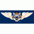 Lakeland Flying Tigers cap logo (2007-pres)02