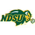 2012-Pres North Dakota State Bison Primary Logo Light Iron-on Stickers (Heat Transfers)