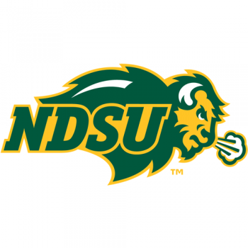 2012-Pres North Dakota State Bison Primary Logo Light Iron-on Stickers (Heat Transfers)