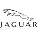 Jaguar logo Light Iron On Stickers (Heat Transfers) version 1