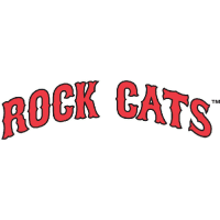 New Britain Rock Cats wordmark logo(2007-pres)Light Iron-on Stickers (Heat Transfers) 01