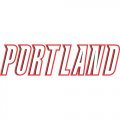 Portland Trail Blazers Script Logo  Light Iron-on Stickers (Heat Transfers)