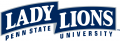 Penn State Nittany Lions 2001-2004 Wordmark Logo Light Iron-on Stickers (Heat Transfers) 6