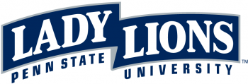 Penn State Nittany Lions 2001-2004 Wordmark Logo Light Iron-on Stickers (Heat Transfers) 6