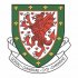 Wales Football Confederation Light Iron-on Stickers (Heat Transfers)