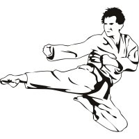 Karate Flying Kick Martial Arts