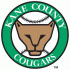 Kane County Cougars primary logo (2007-pres)Light Iron-on Stickers (Heat Transfers) 01