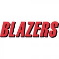 Portland Trail Blazers Script Logo  Light Iron-on Stickers (Heat Transfers)