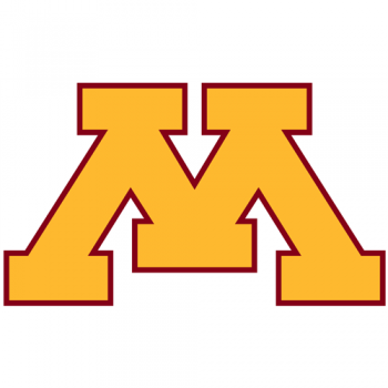 1986-Pres Minnesota Golden Gophers Alternate Logo Light Iron-on Stickers (Heat Transfers) 3