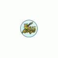 1982 83-1985 86 Brandon Wheat Kings Primary Logo Light Iron-on Stickers (Heat Transfers)