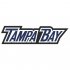 Tampa Bay Lightning Script Logo  Light Iron-on Stickers (Heat Transfers)