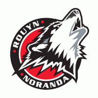 2006 07-Pres Rouyn-Noranda Huskies Primary Logo Light Iron-on Stickers (Heat Transfers)