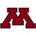 1986-Pres Minnesota Golden Gophers Alternate Logo Light Iron-on Stickers (Heat Transfers) 6