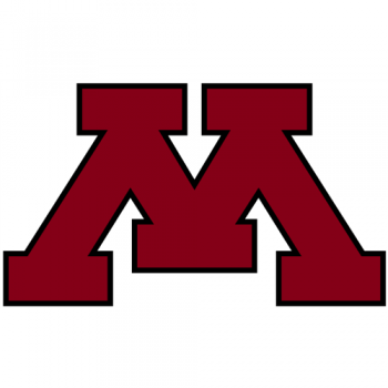 1986-Pres Minnesota Golden Gophers Alternate Logo Light Iron-on Stickers (Heat Transfers) 6