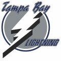 Tampa Bay Lightning Primary Logo 2001 Light Iron-on Stickers (Heat Transfers)