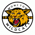 2009 10-Pres Moncton Wildcats Alternate Logo Light Iron-on Stickers (Heat Transfers)