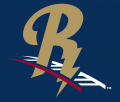 ScrantonWilkes-Barre RailRiders cap logo(2013-pres)Light Iron-on Stickers (Heat Transfers) 01