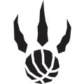 Toronto Raptors Alternate Logo  Light Iron-on Stickers (Heat Transfers) version 3