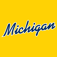 1996-Pres Michigan Wolverines Wordmark Logo Light Iron-on Stickers (Heat Transfers)