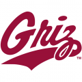 1996-Pres Montana Grizzlies Wordmark Logo Light Iron-on Stickers (Heat Transfers)