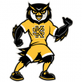 Kennesaw State Owls 2012-Pres Mascot Logo Light Iron-on Stickers (Heat Transfers)