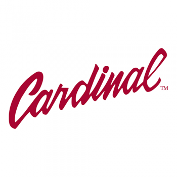 1993-Pres Stanford Cardinal Wordmark Logo Light Iron-on Stickers (Heat Transfers) Print