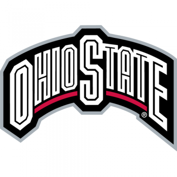 2003-Pres Ohio State Buckeyes Wordmark Logo Light Iron-on Stickers (Heat Transfers)