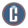 Charlotte Bobcats Alternate Logo  Light Iron-on Stickers (Heat Transfers) version 3