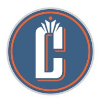 Charlotte Bobcats Alternate Logo  Light Iron-on Stickers (Heat Transfers) version 3